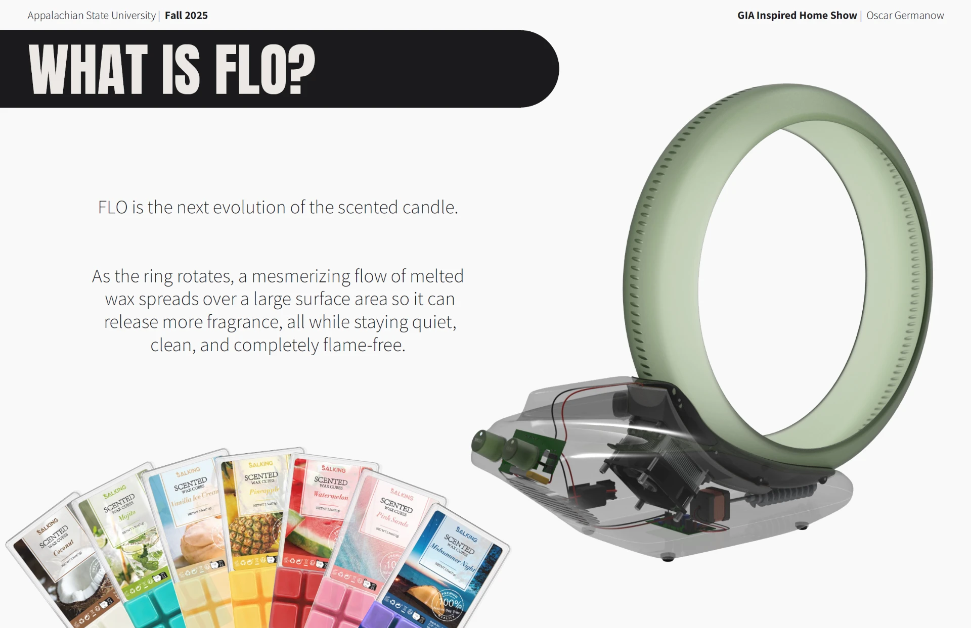 Flo presentation board 2